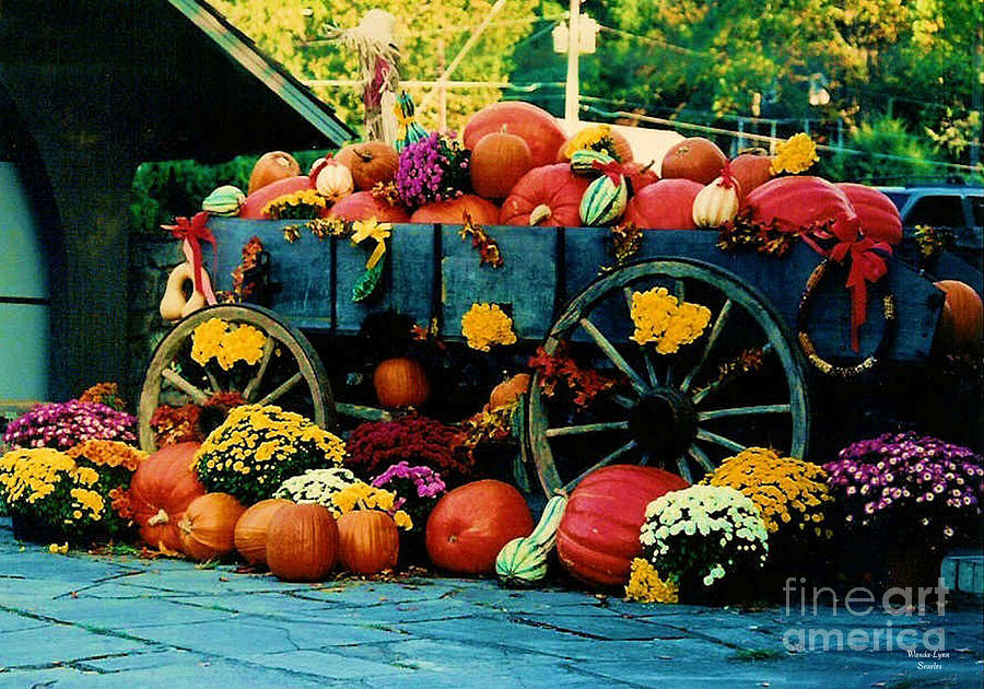 Fall Photograph - Harvest Time by Wanda-Lynn Searles