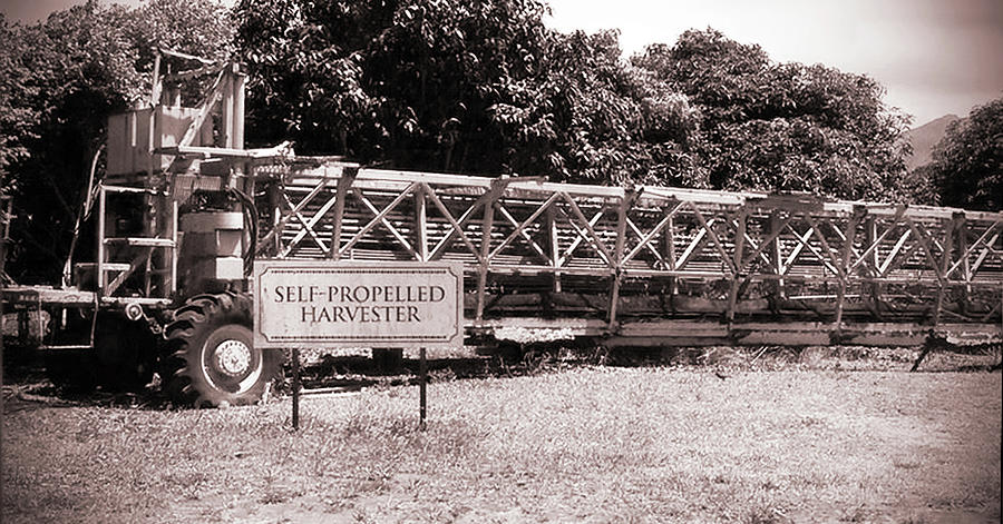 Harvester Photograph