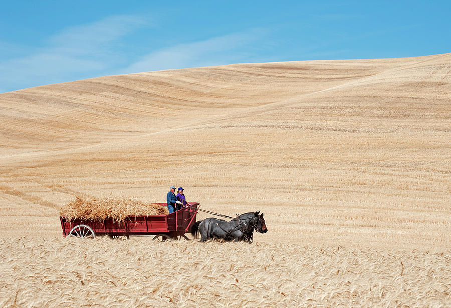 Harvesting Day Photograph by Doug Davidson