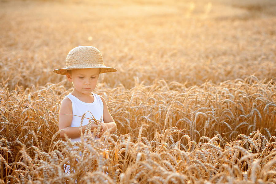 Harvesting Photograph by Tatyana Tomsickova