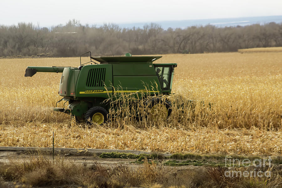 Harvesting the Crop Photograph by Steven Parker