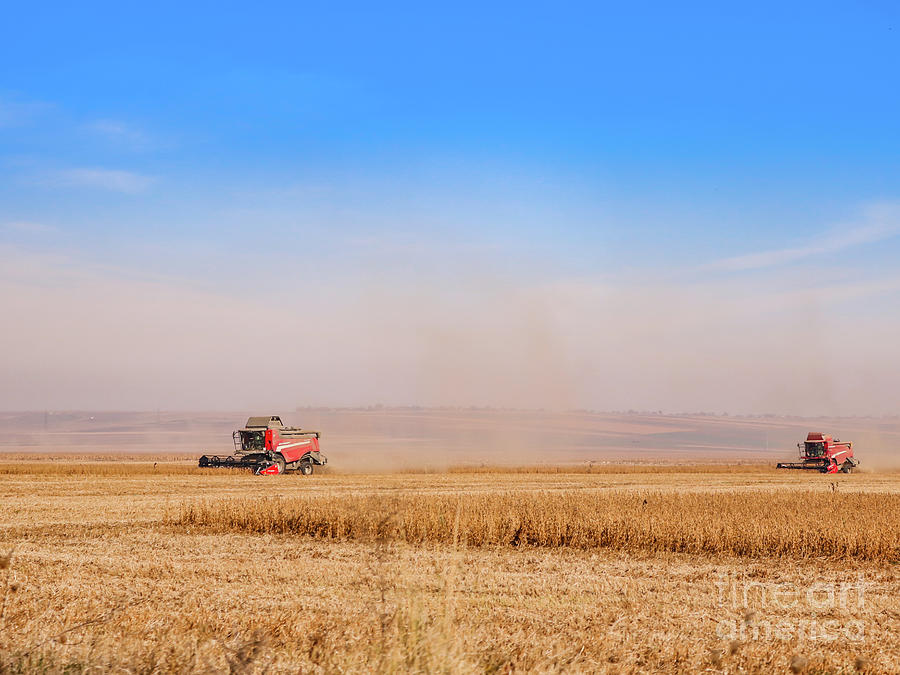 Harvesting wheat Photograph by Claudia M Photography