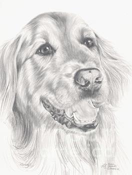 Dog Painting - Harvey by Keran Sunaski Gilmore