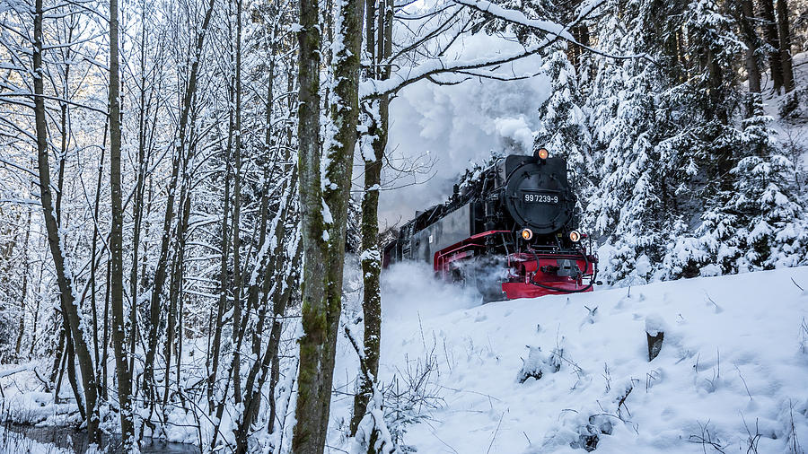 Harzquerbahn Photograph by Andreas Levi