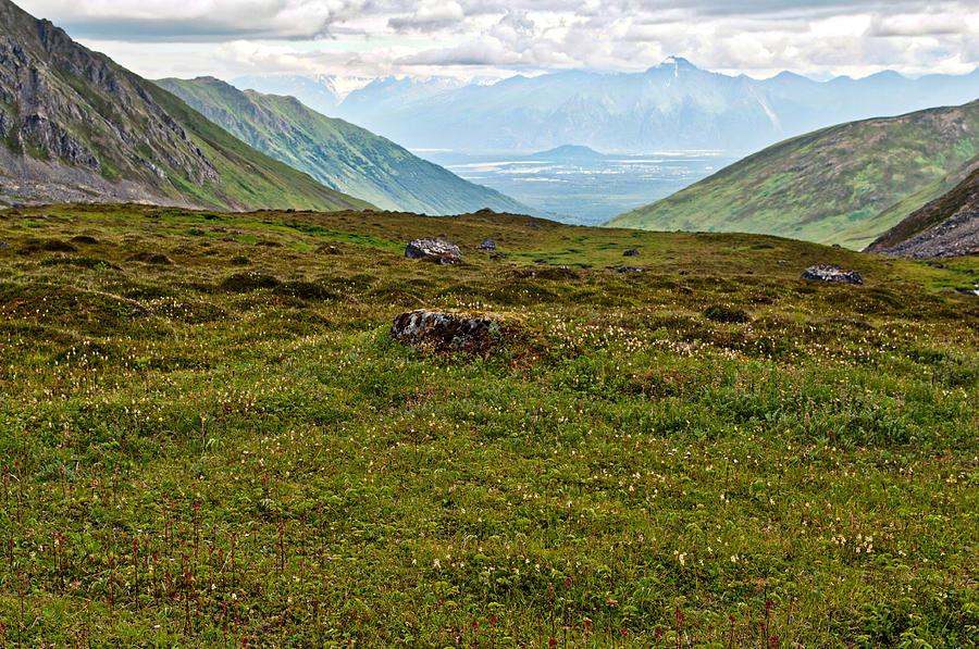 Hatcher Pass in Summer                                     Photograph by Cathy Mahnke