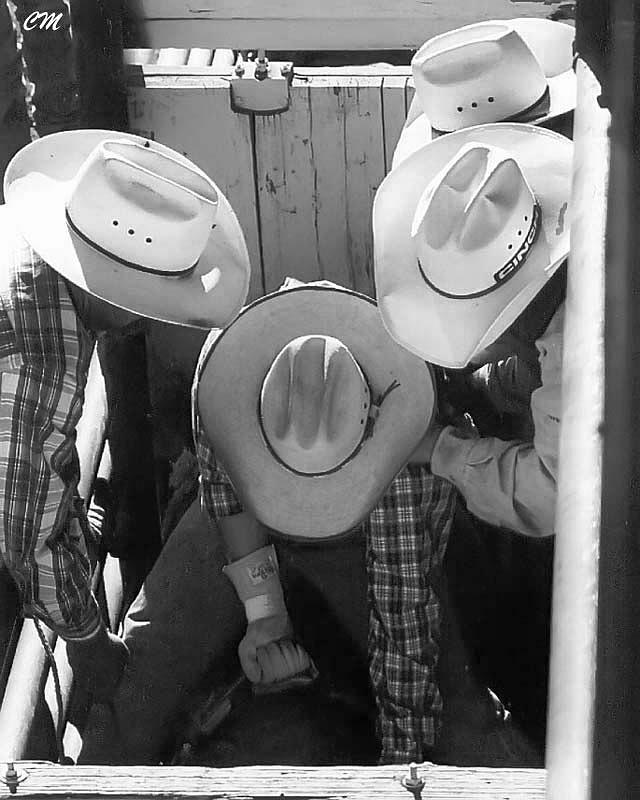 Rodeo Photograph - Hats.. by Carol Miller