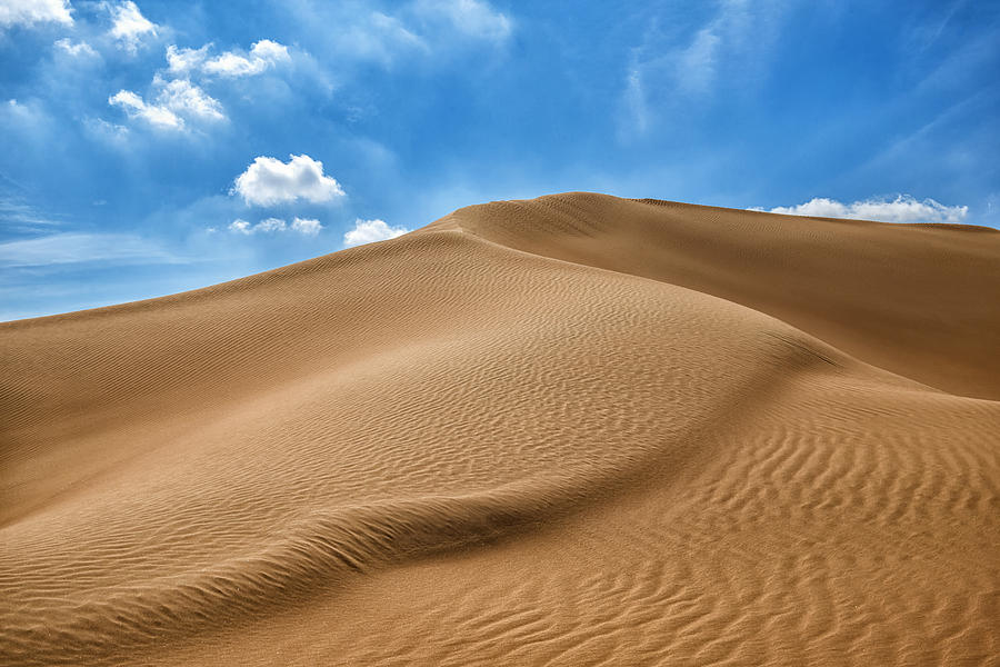 Hatta Desert, UAE Photograph by Ivan Batinic