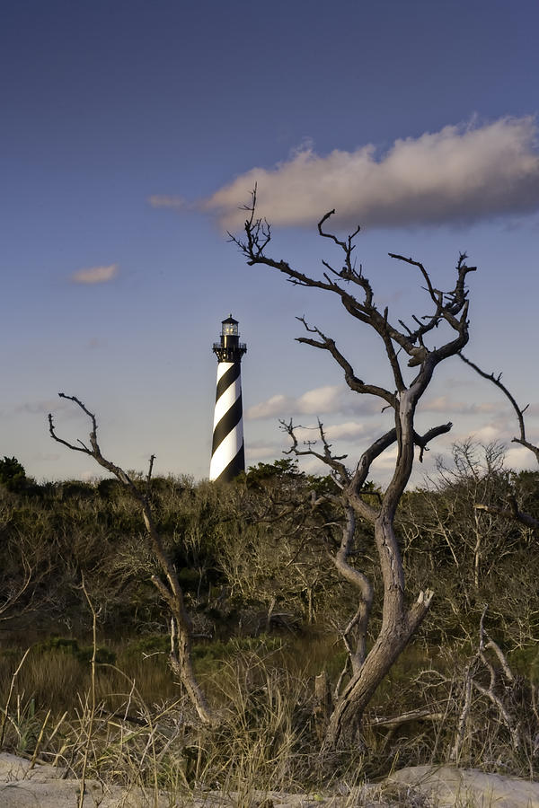 Hatteras Lighhouse - NC Lighthouse Scene Photograph by Rob Travis