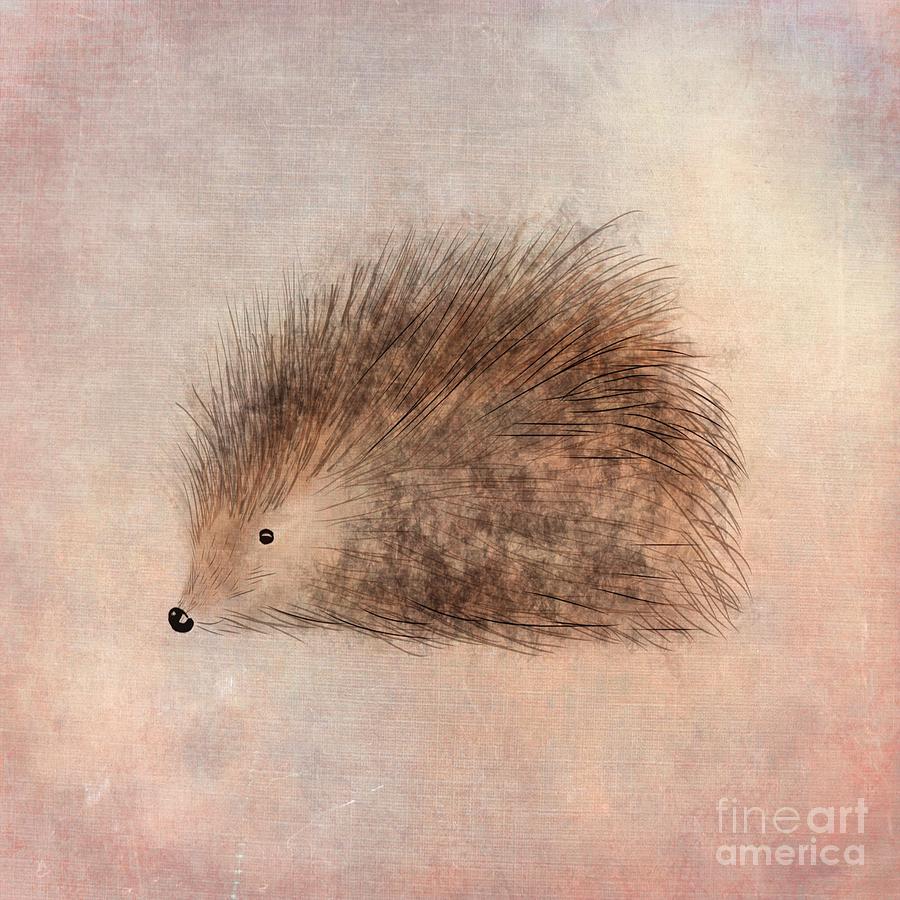 Animal Digital Art - Hattie Hedgehog  by John Edwards