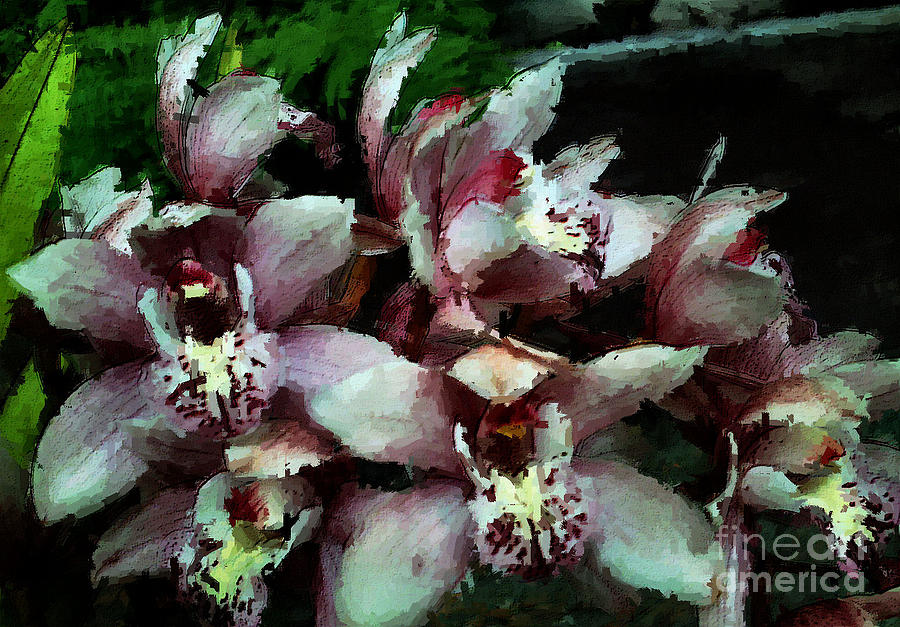 Flower Digital Art - Hatties Orchids Too by Kathleen Storey