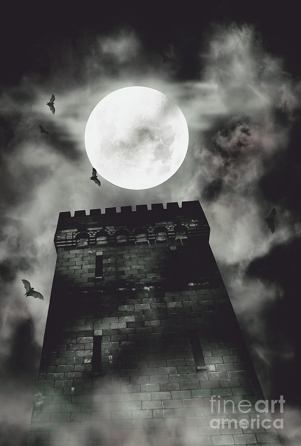 Haunted dark castle Photograph by Jorgo Photography
