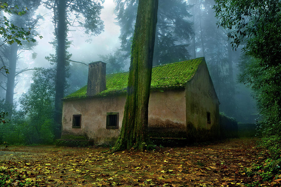 Haunted house Photograph by Jorge Maia