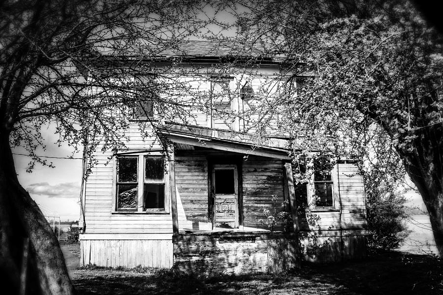 Haunted House Photograph by Juli Ellen