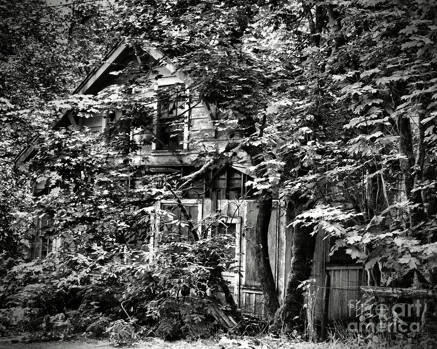 Haunted House of Jewel Photograph by Don Siebel