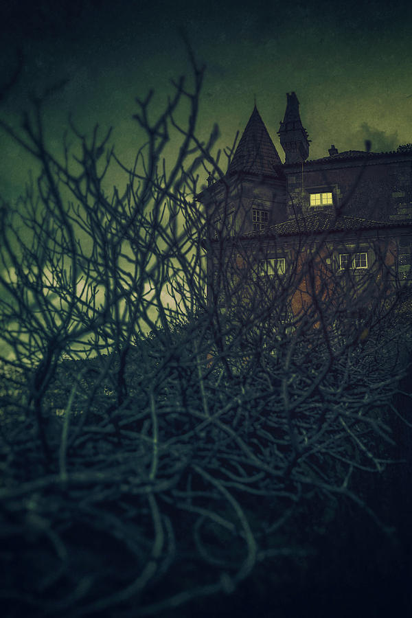 Architecture Photograph - Haunted Mansion by Carlos Caetano