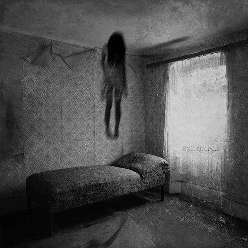 Haunted Merkins in Myassa Photograph by Jim Williams