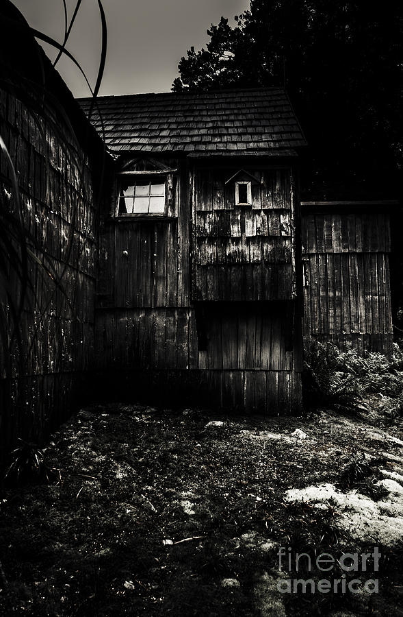 Haunted outback cabin in dark night woods Photograph by Jorgo Photography