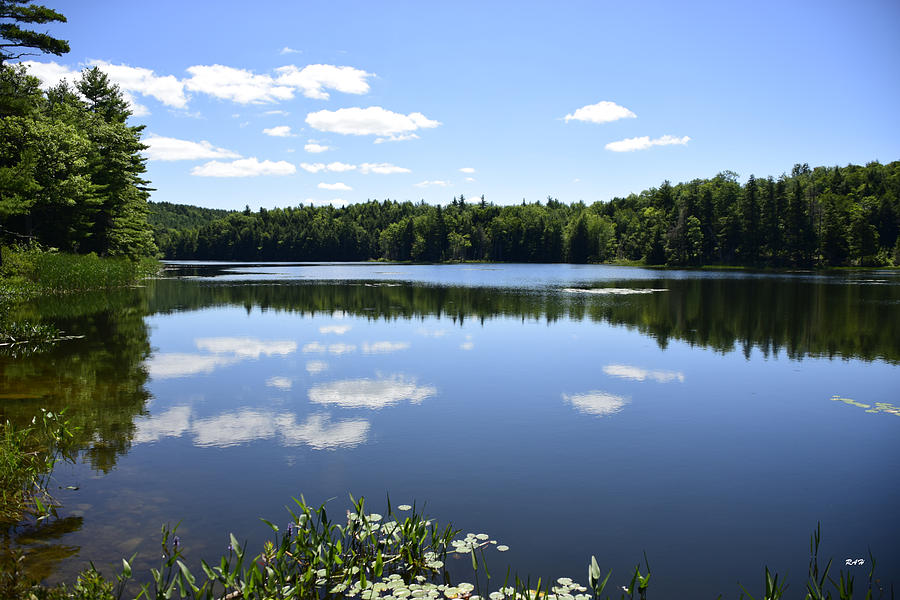 Haunted Pond Photograph by Ron Hebert - Fine Art America