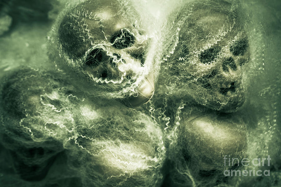 Haunted undead skeleton heads Photograph by Jorgo Photography