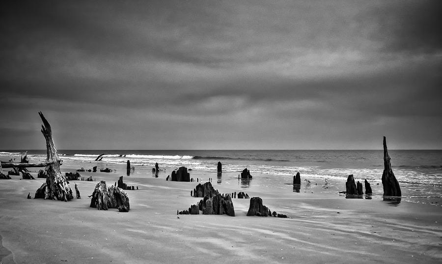 Black And White Photograph - Haunting Hunting Island by Sandy Schepis