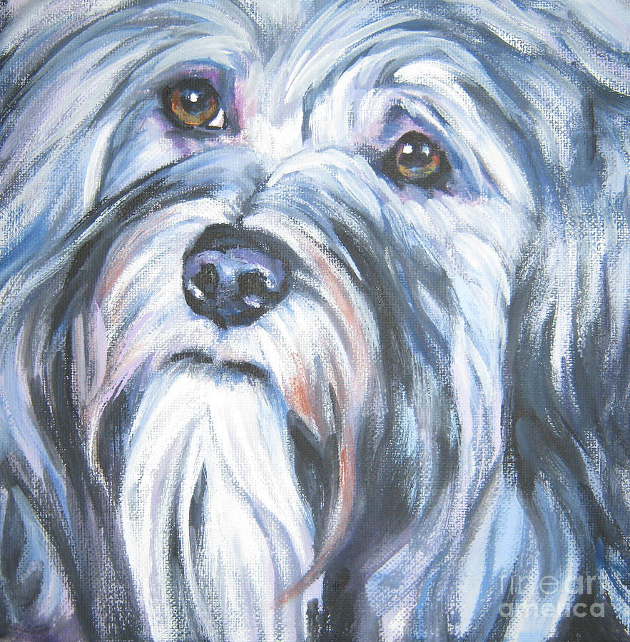 Dog Painting - Havanese by Lee Ann Shepard