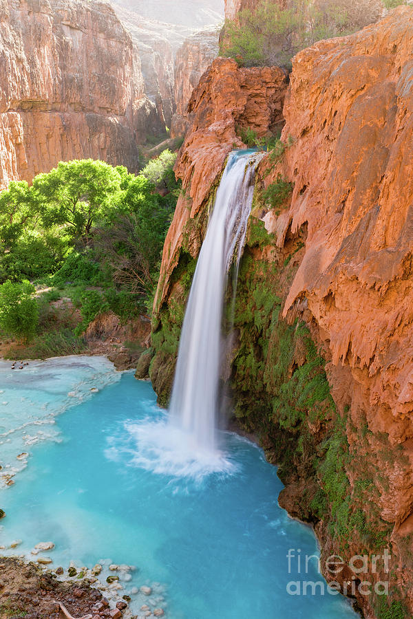 Havasu Falls and Pool Photograph by Colin D Young - Fine Art America