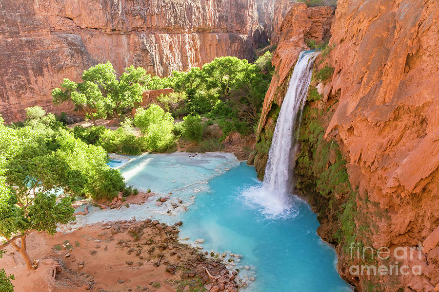 Grand Canyon National Park Photograph - Havasu Falls Turquoise Canyon Oasis by Colin D Young