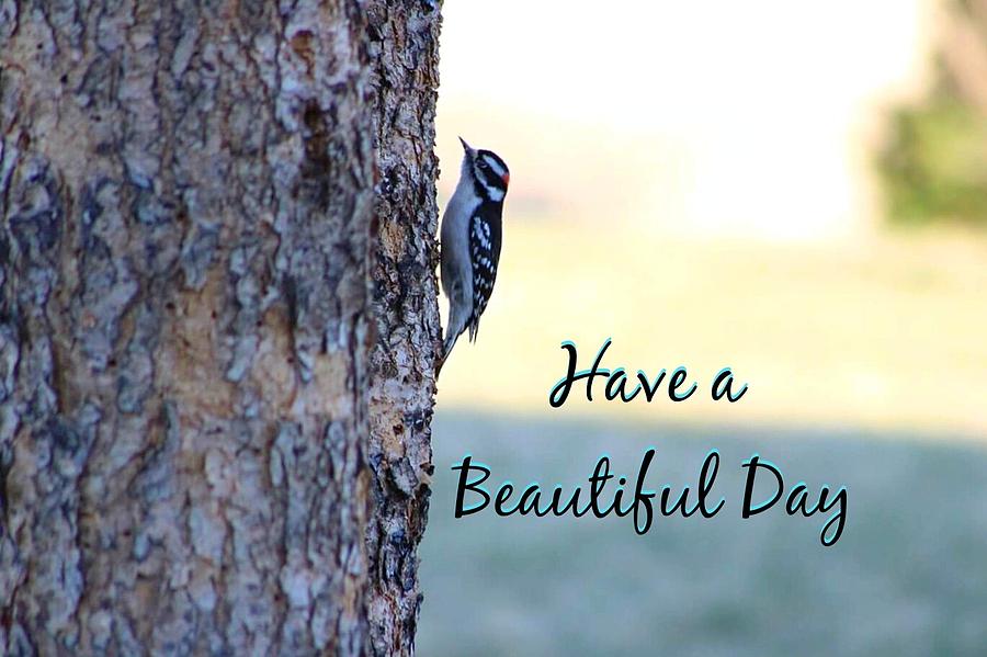 Have a beautiful day. Photograph by Deanna Culver