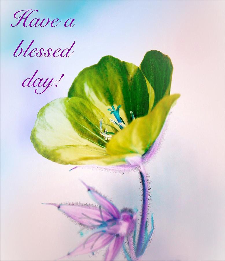 have-a-blessed-day-photograph-by-diane-lindon-coy