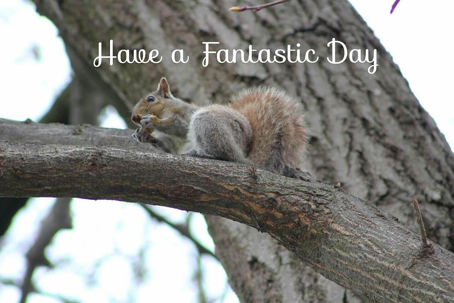 Have a fantastic day Photograph by Deanna Culver