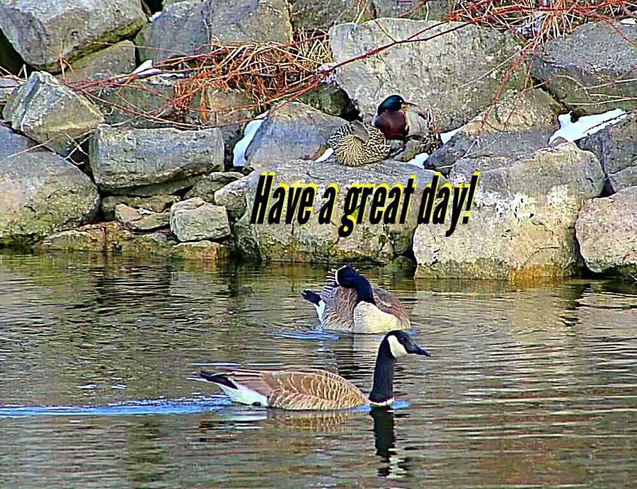 Have a Great Day Photograph by Deanna Culver