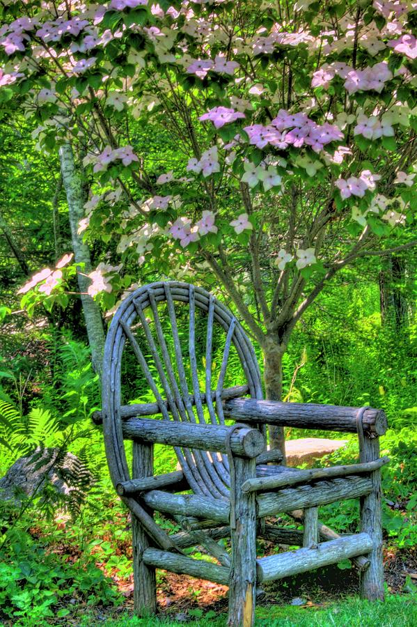 Have a Seat Photograph by Greg DeBeck