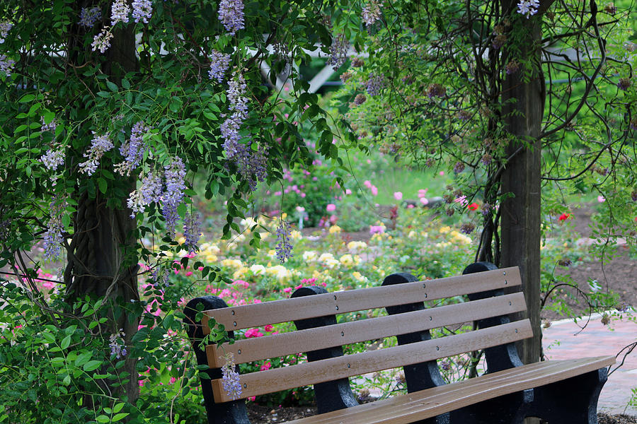 Have A Seat Photograph by Living Color Photography Lorraine Lynch