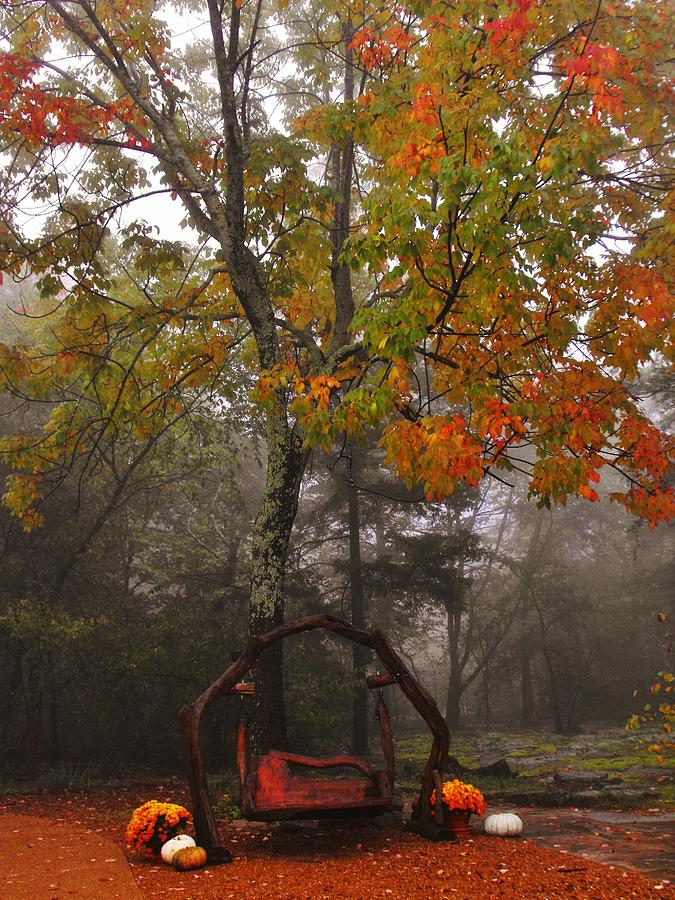 Tree Photograph - Have a Seat by Lori Child