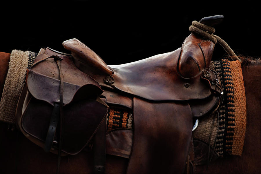 Have A Seat - Three Bars Ranch by Ryan Courson Have A Seat - Three Bars Ranch by Ryan Courson