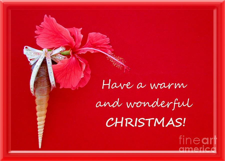 Have a Warm Wonderful Christmas Photograph by Barbie Corbett-Newmin