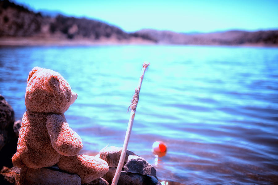 Bear Photograph - Have you ever seen a bear fishing by Marnie Patchett
