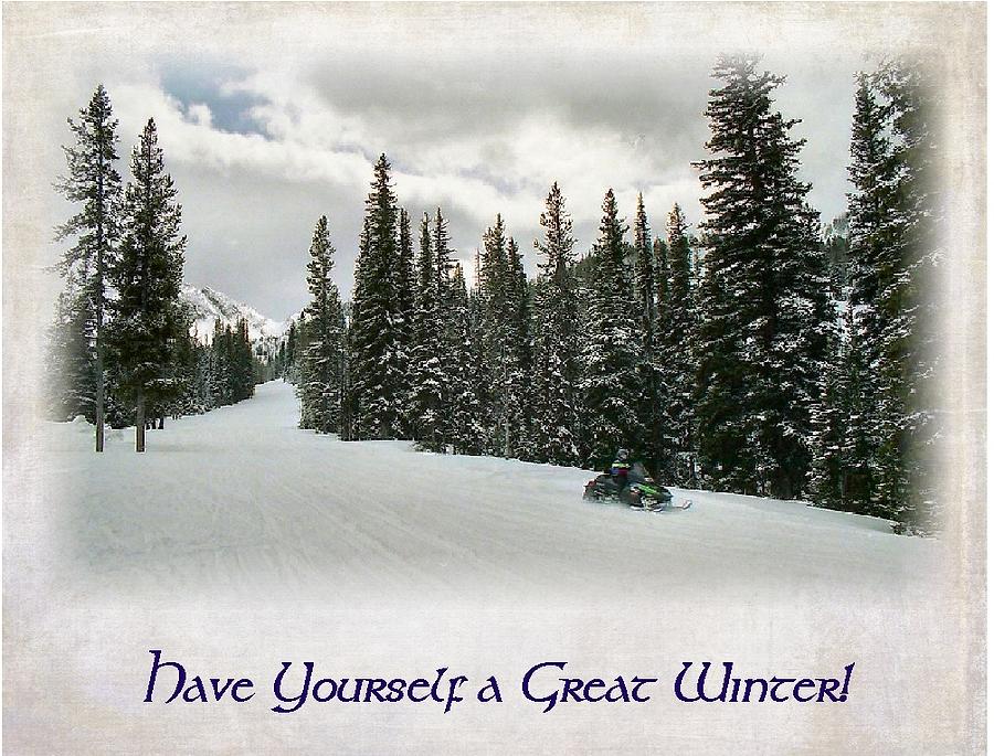 Winter Photograph - Have Yourself a Great Winter by Lynne and Don Wright