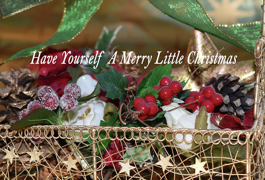 Have Yourself A Merry Little Christmas Photograph by Linda Brody