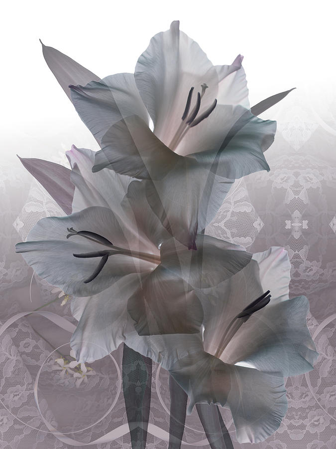 Haversham Memories by Marsha Tudor Haversham Memories by Marsha Tudor
