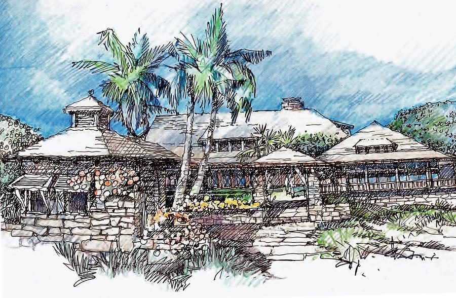 Hawaii  Drawing by Andrew Drozdowicz