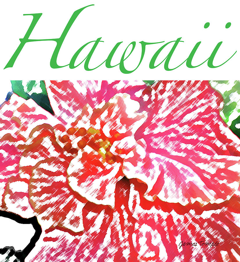 Hawaii Blush Digital Art by James Temple