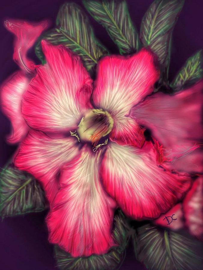 Hawaii Flower Digital Art by Darren Cannell