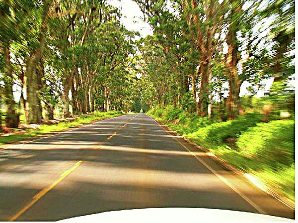 Hawaii Highway Photograph by Autumn Haupt - Fine Art America