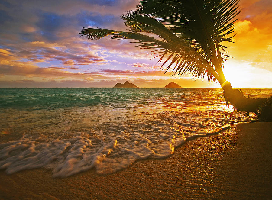 Hawaii Lanikai Sunrise Photograph by Tomas del Amo - Printscapes