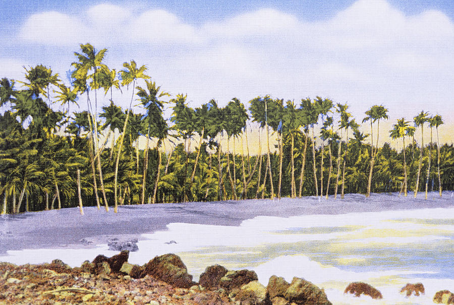 Hawaii Postcard Painting by Hawaiian Legacy Archive - Printscapes