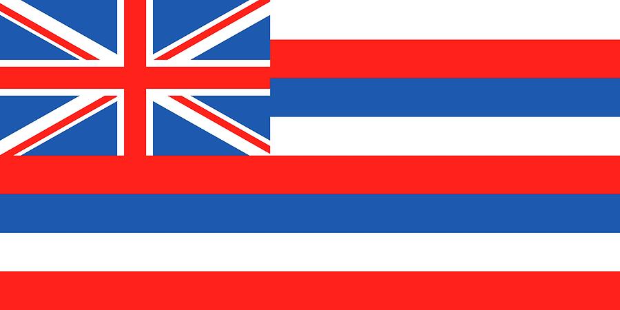Hawaii state flag Painting by American School