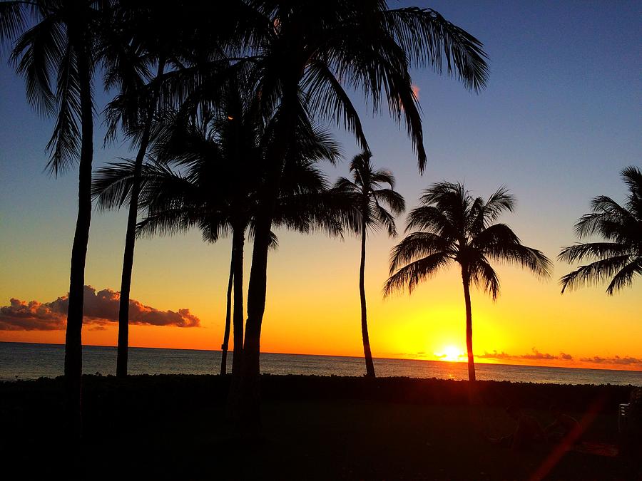 Hawaiian Palm Tree Sunset Photograph by Kat J - Fine Art America