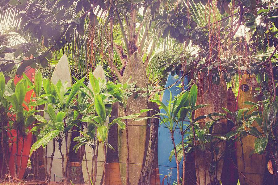 Hawaii Surfboard Fence Photograph by Nicole Freedman