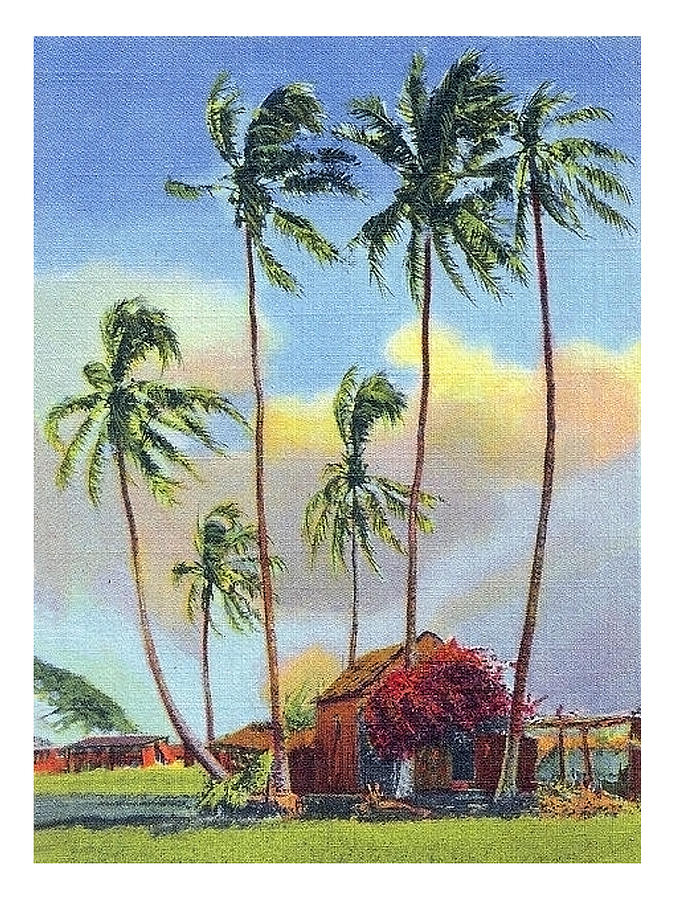 Hawaii, traditional cottage with palms over blue sky Painting by Long Shot